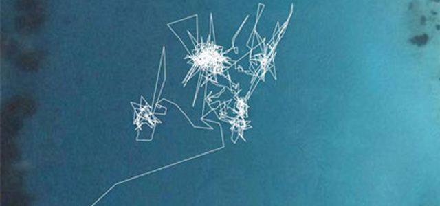 LINES OF SIGHT #1 takes inspiration from recent projects concerning the musical score; musical, sociological, biological explorations of how our minds and intuition translate and transmit music. 